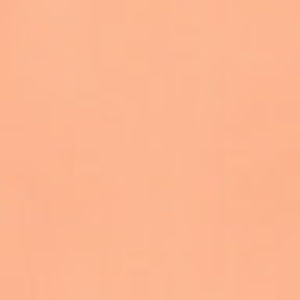 Meet your Posher, Ava